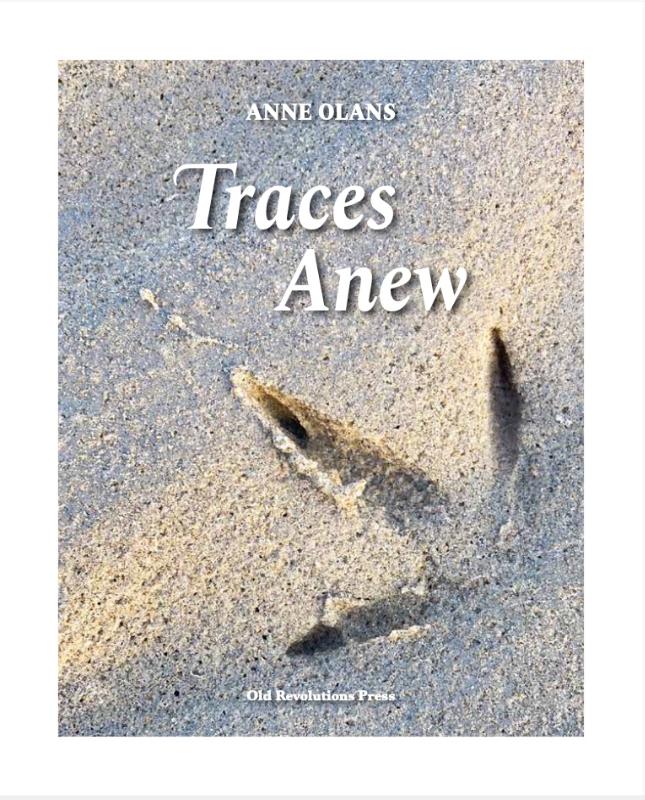 Omslag van Traces Anew