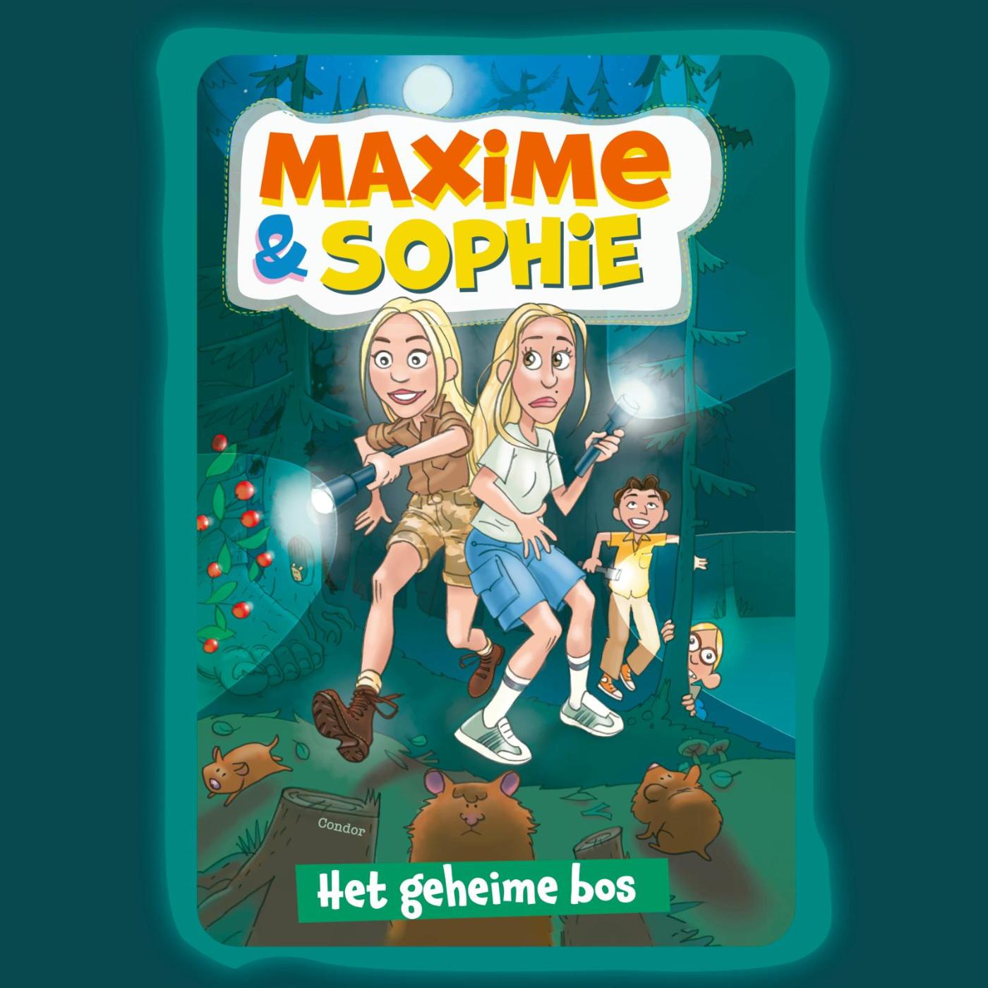 Omslag van Het geheime bos