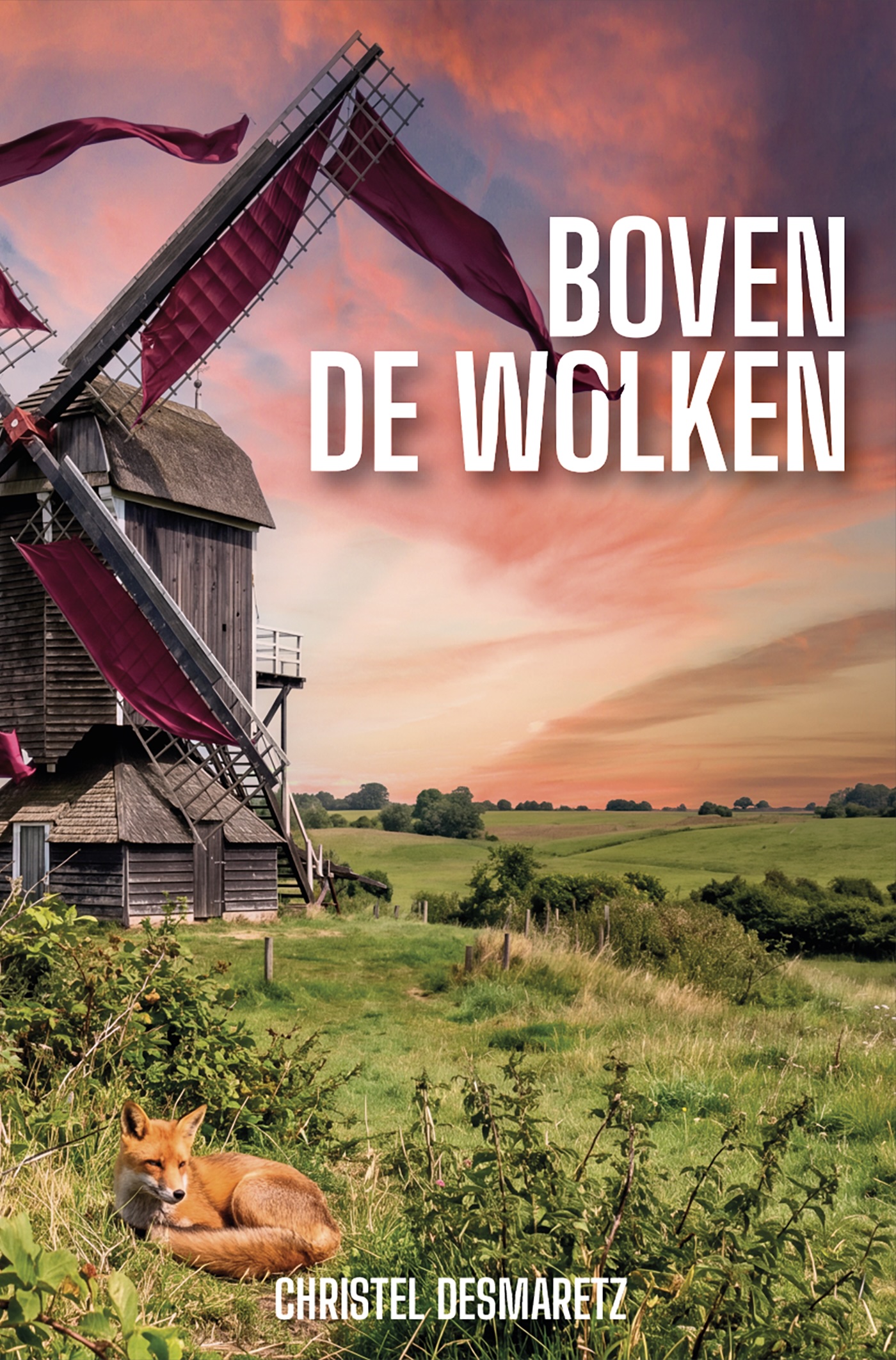 Omslag van Boven de wolken