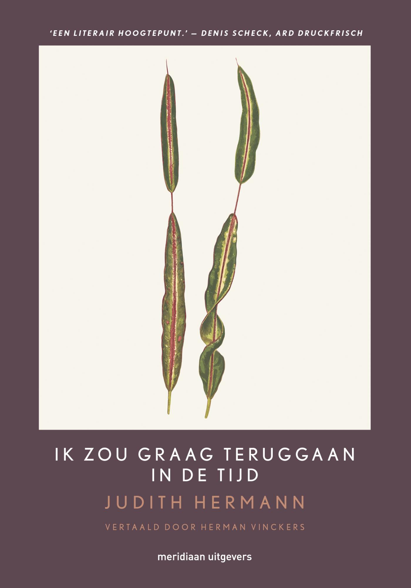 Omslag van Ik zou graag teruggaan in de tijd