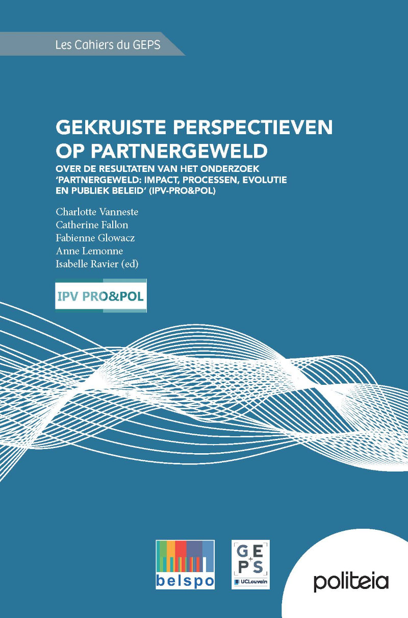 Omslag van Gekruiste perspectieven op partnergeweld
