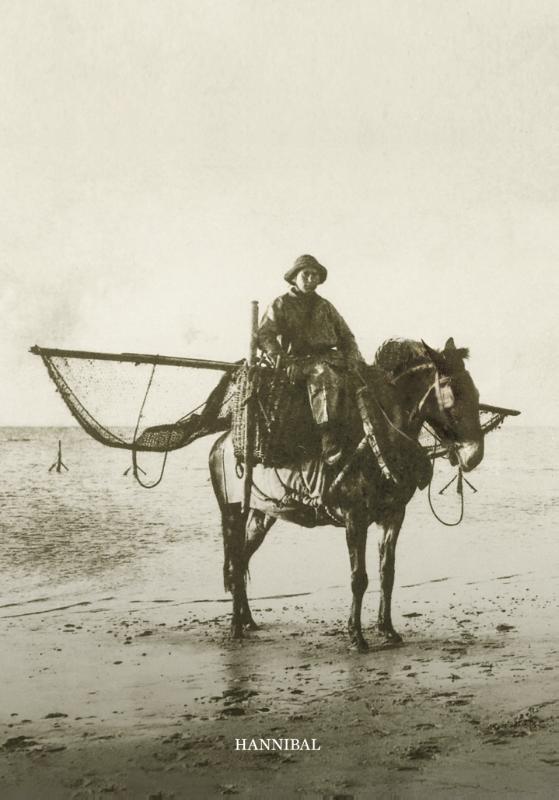 Omslag van Onze paardenvissers