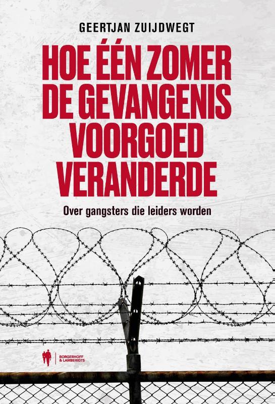 Omslag van Hoe één zomer de gevangenis voorgoed veranderde