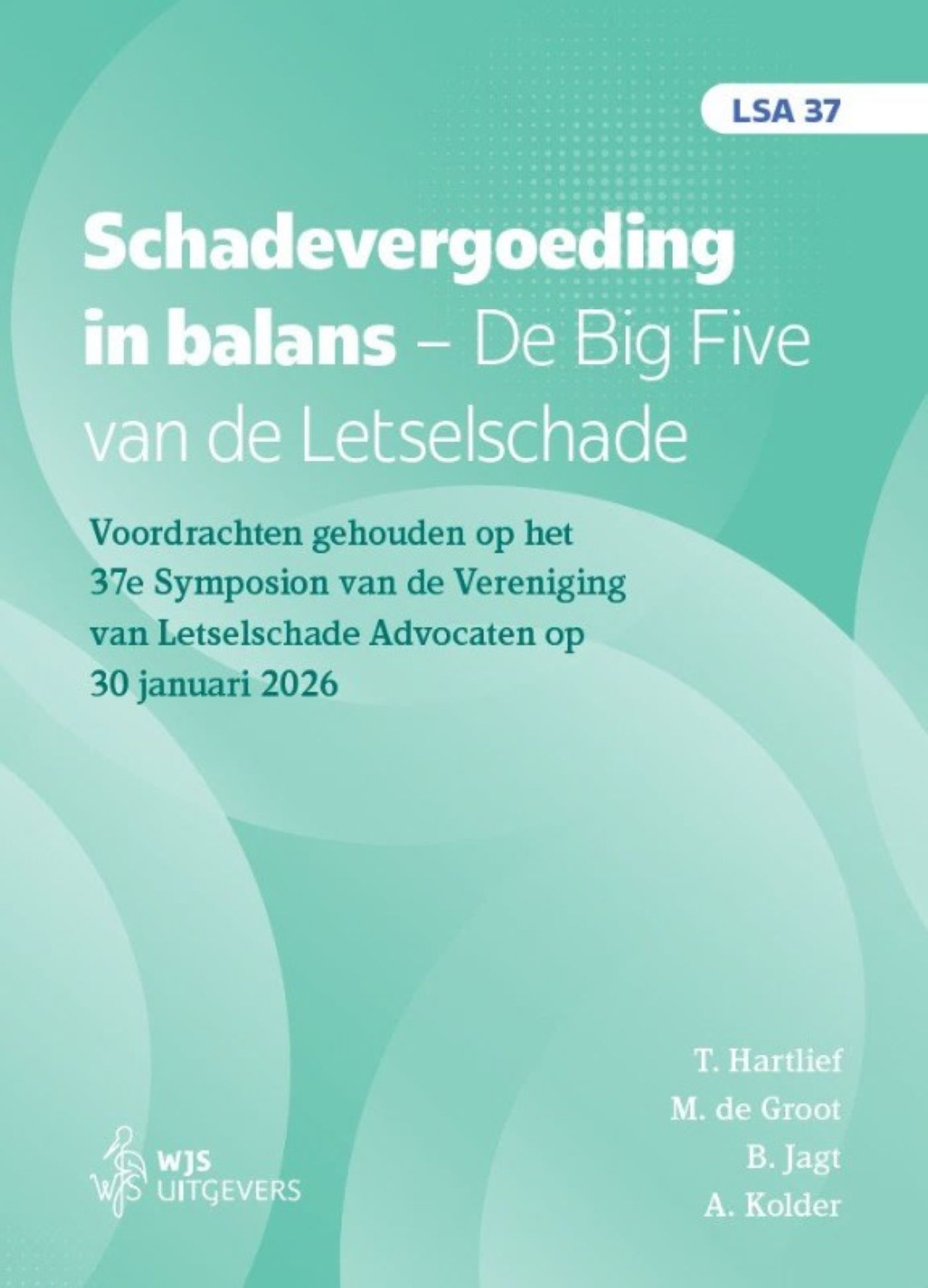 Omslag van Schadevergoeding in balans. De Big Five van de letselschade